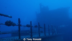 Wreck Dive South Oahu Hawaii by Tony Ronald 